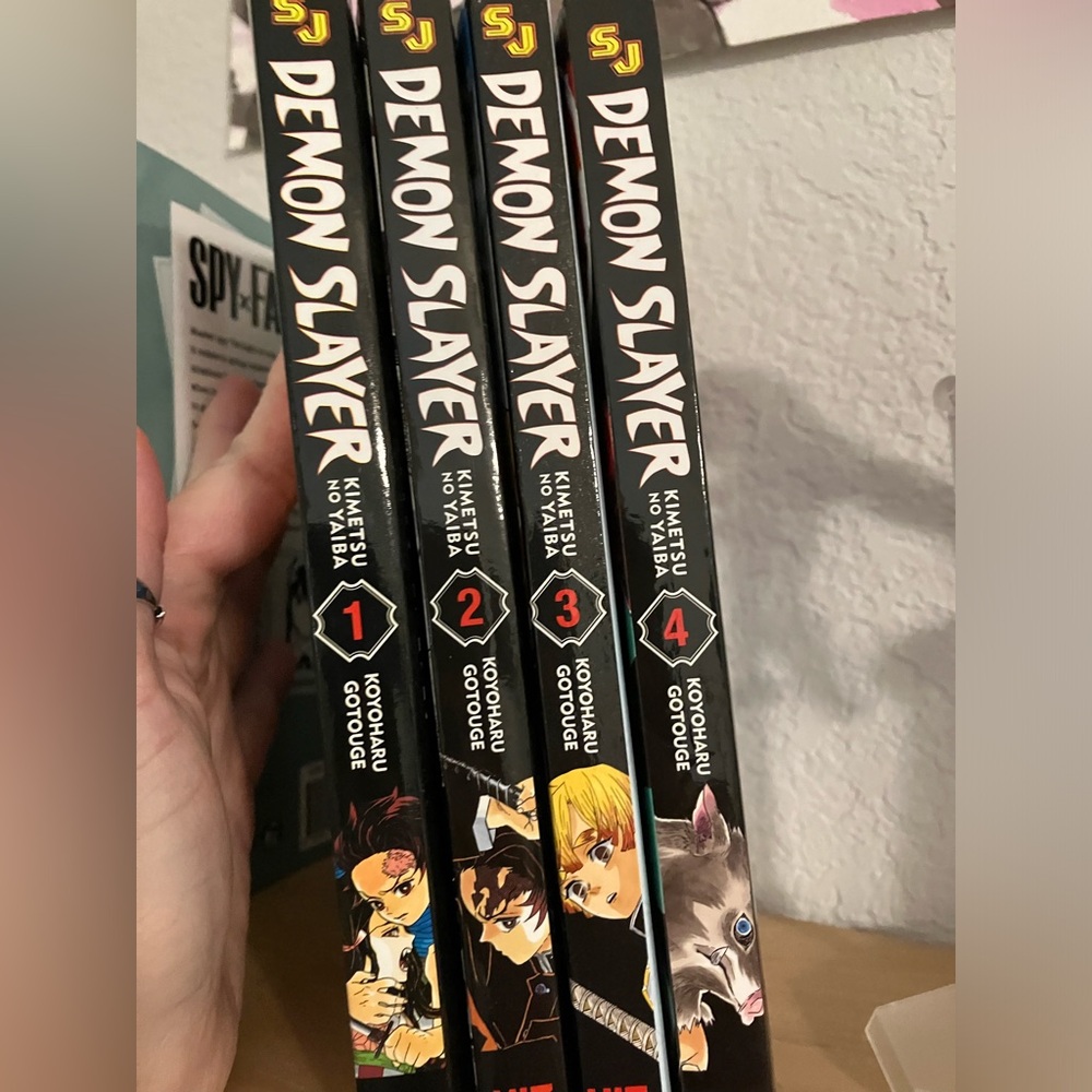 Demon Slayer manga